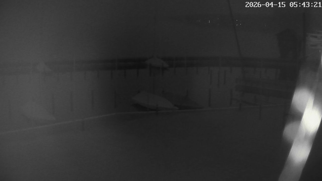 MRSV Bayern Webcam