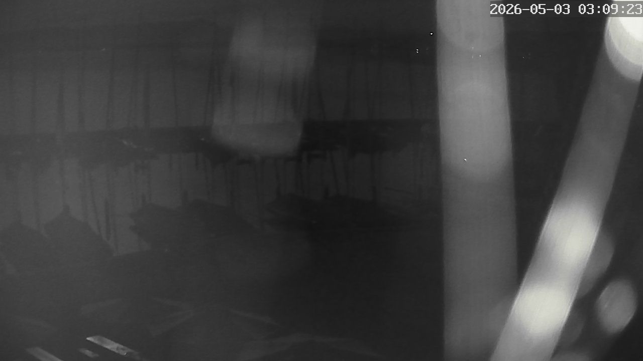 MRSV Bayern Webcam