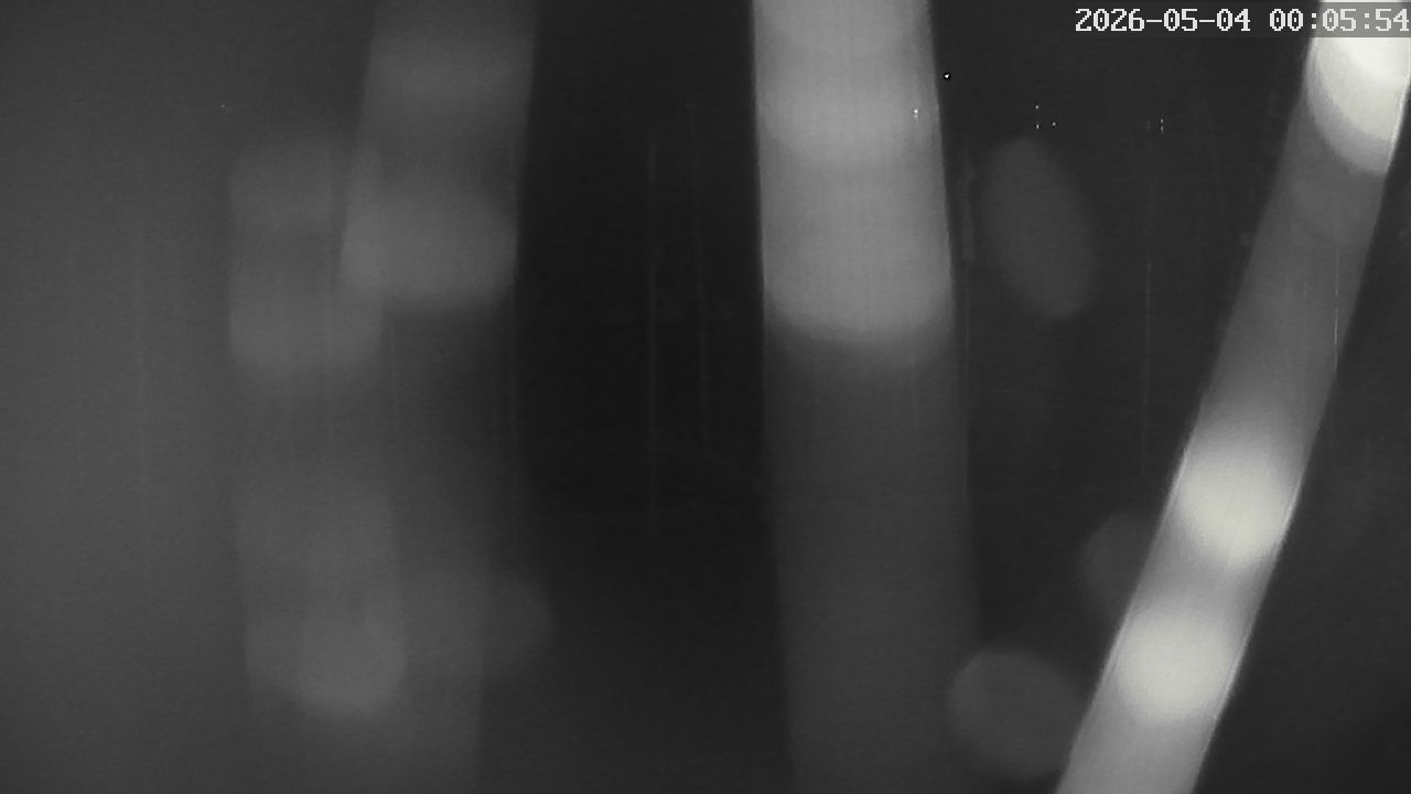 MRSV Bayern Webcam