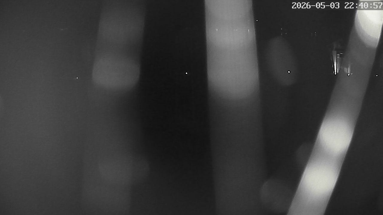 MRSV Bayern Webcam