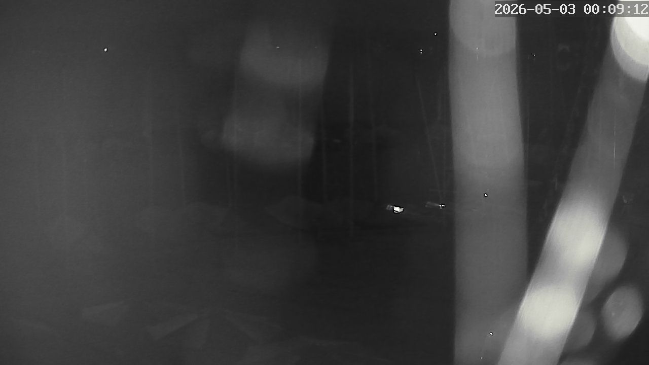 MRSV Bayern Webcam