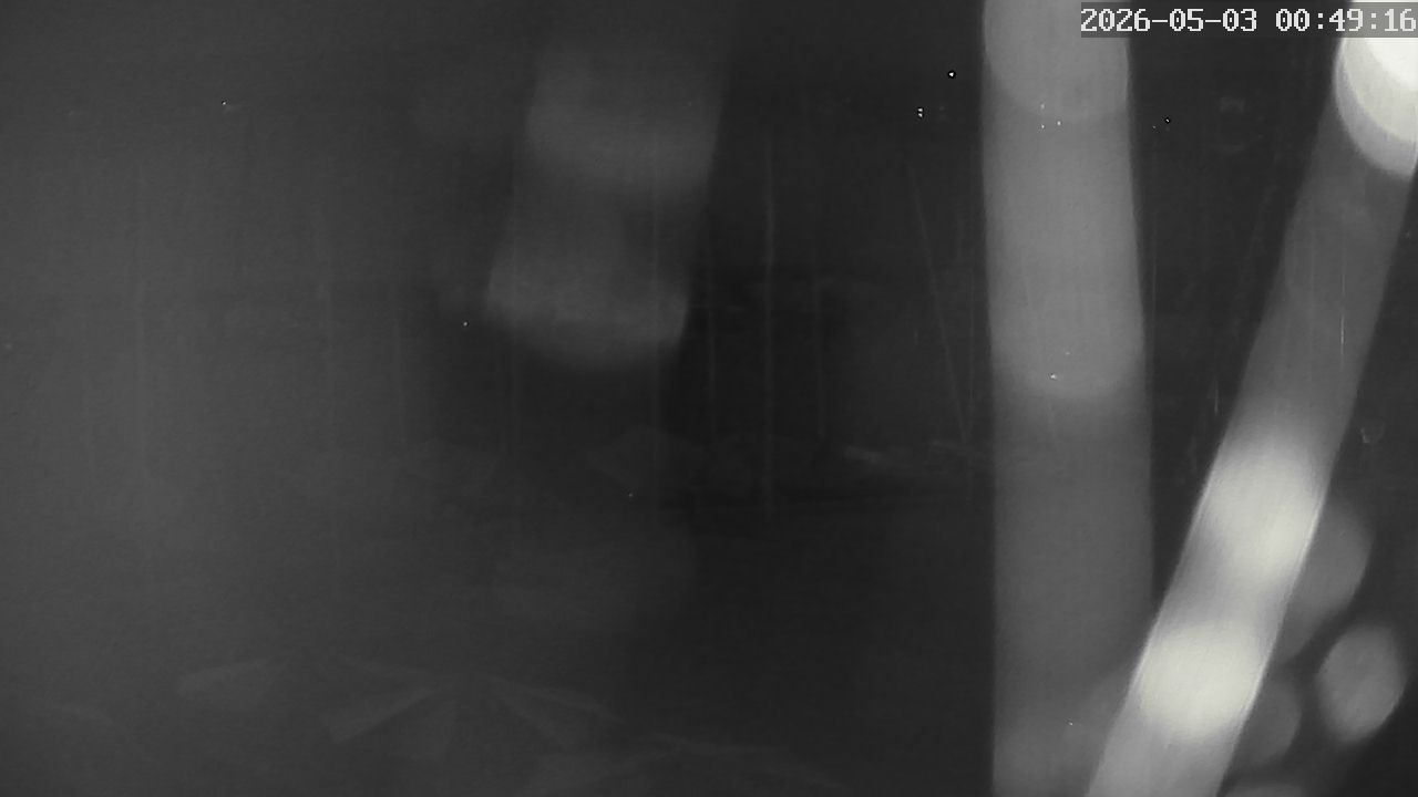 MRSV Bayern Webcam