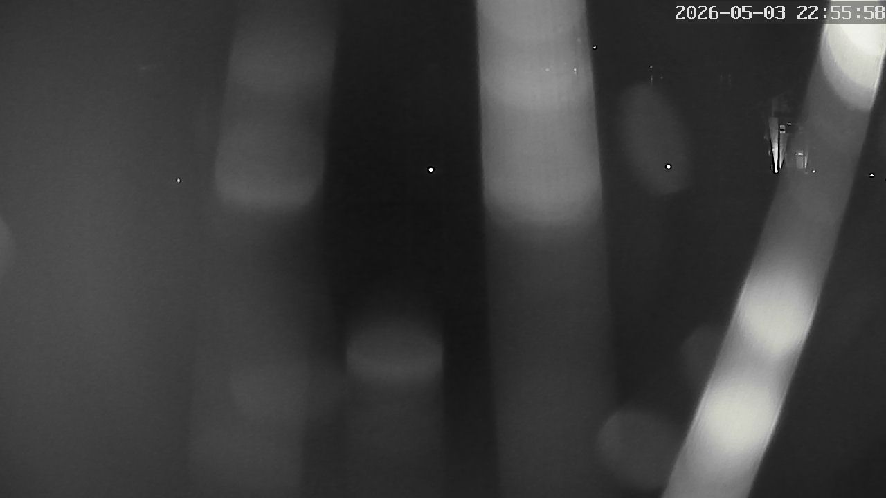 MRSV Bayern Webcam