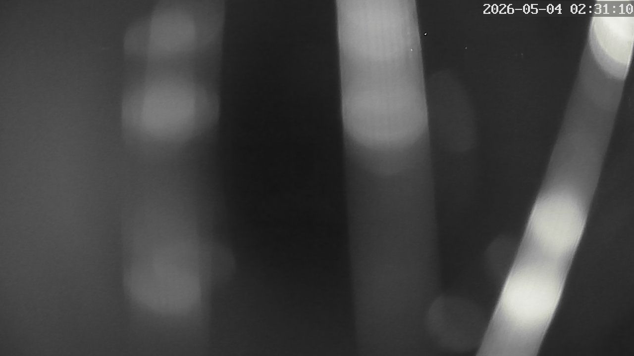 MRSV Bayern Webcam