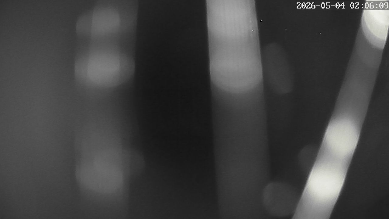 MRSV Bayern Webcam