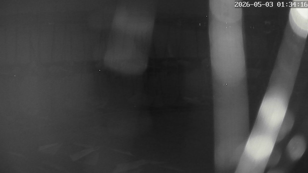 MRSV Bayern Webcam
