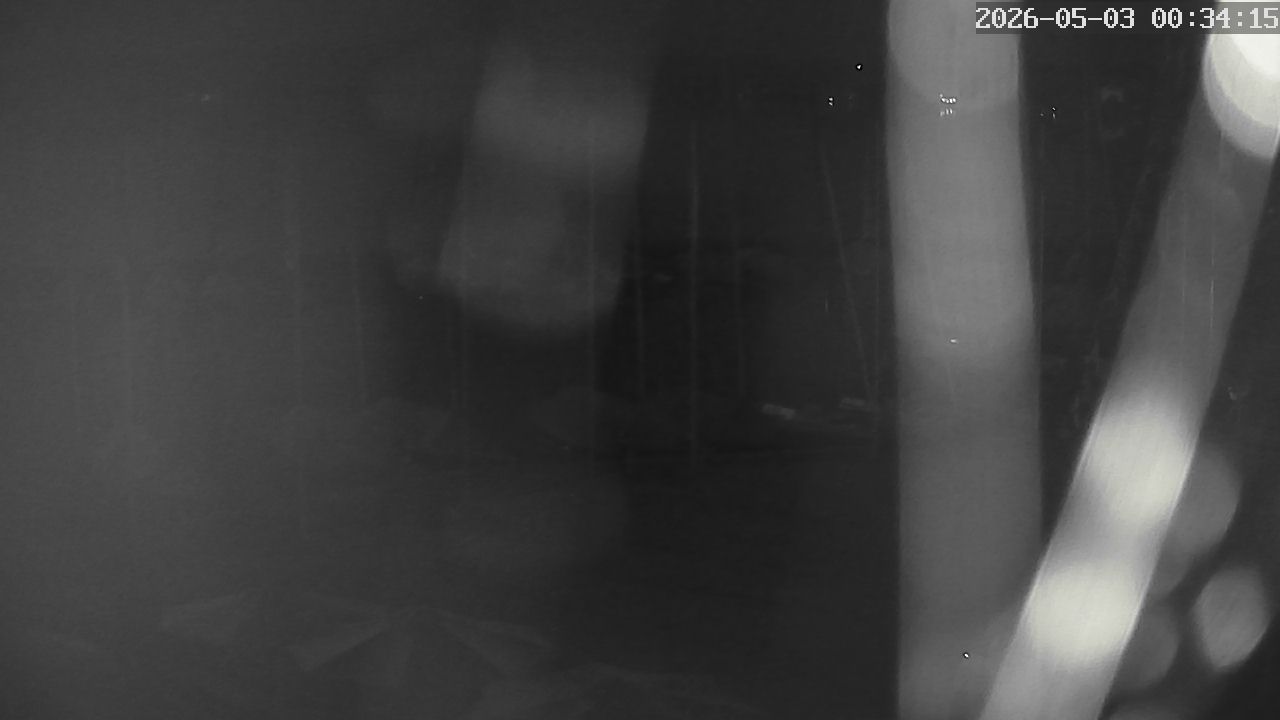 MRSV Bayern Webcam