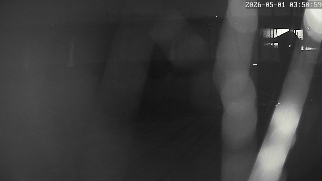 MRSV Bayern Webcam