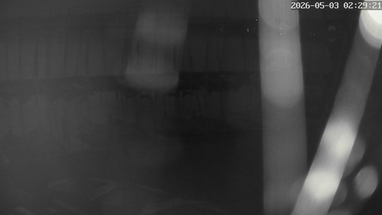 MRSV Bayern Webcam
