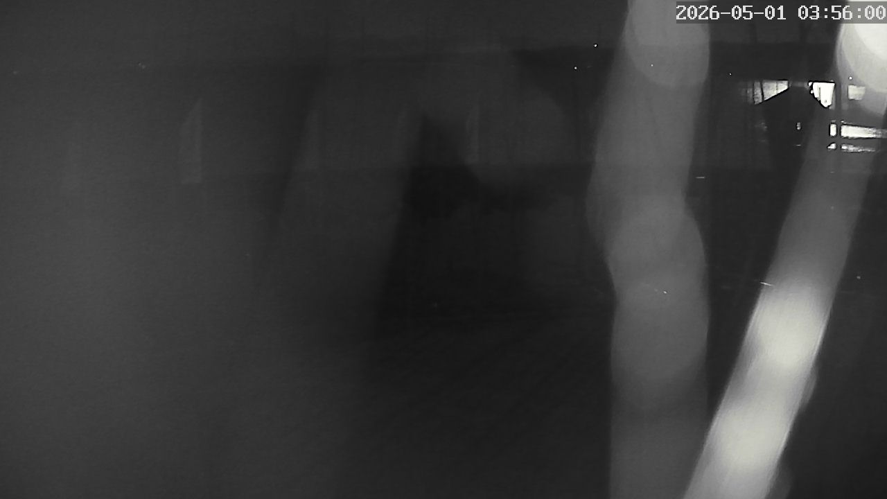 MRSV Bayern Webcam
