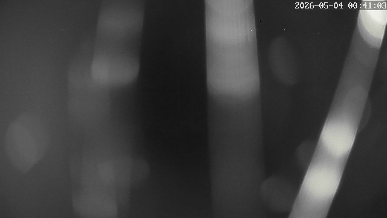 MRSV Bayern Webcam