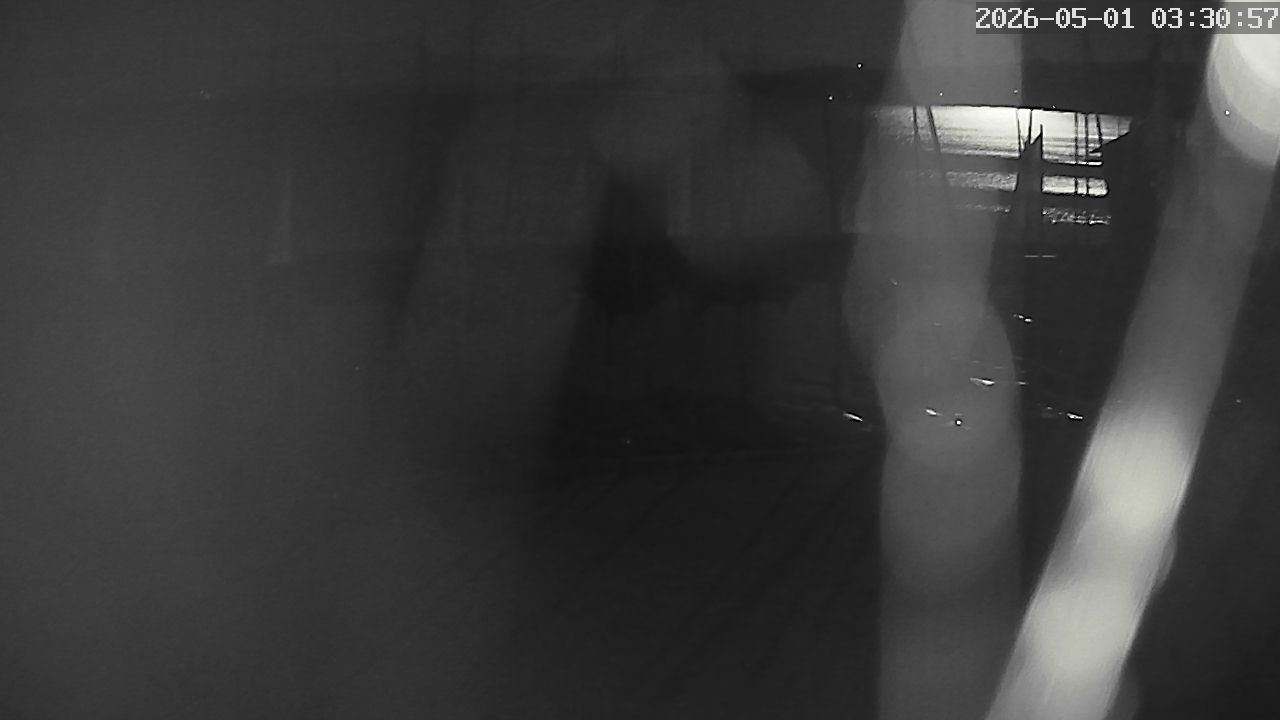 MRSV Bayern Webcam