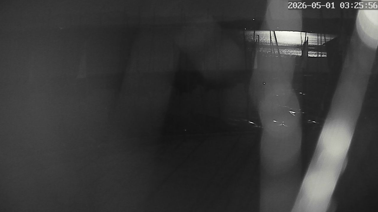 MRSV Bayern Webcam