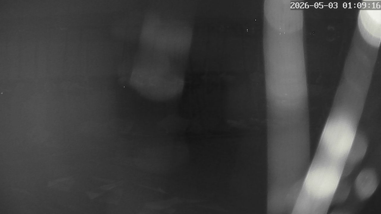 MRSV Bayern Webcam