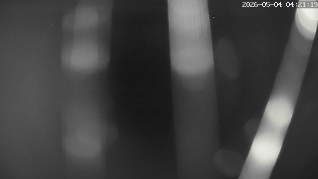 MRSV Bayern Webcam
