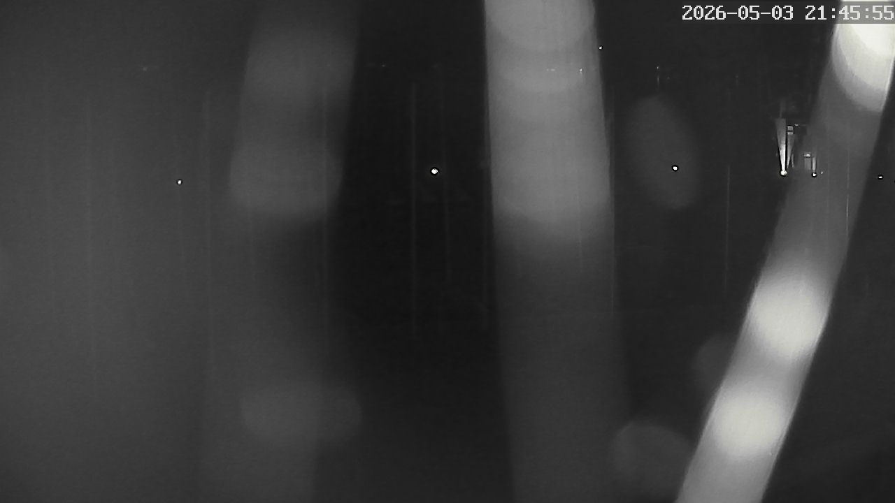 MRSV Bayern Webcam
