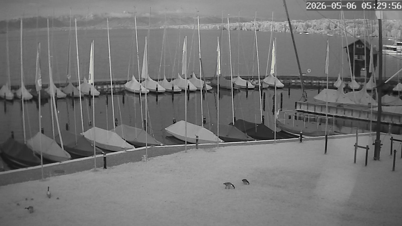 MRSV Bayern Webcam