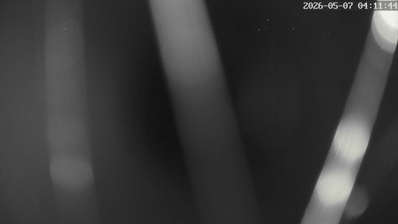 MRSV Bayern Webcam
