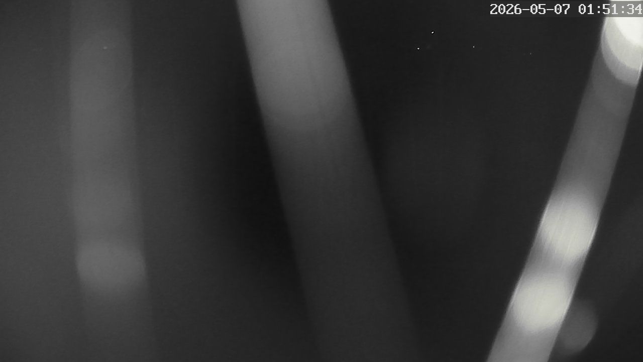 MRSV Bayern Webcam