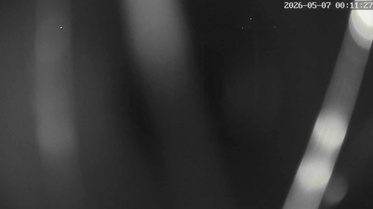 MRSV Bayern Webcam