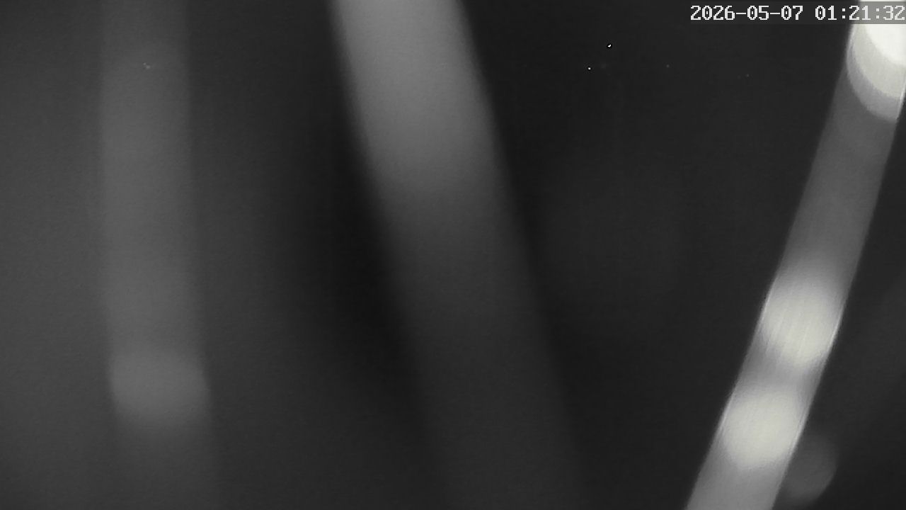 MRSV Bayern Webcam