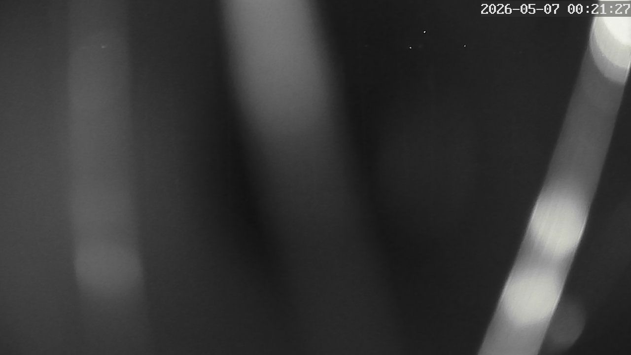MRSV Bayern Webcam
