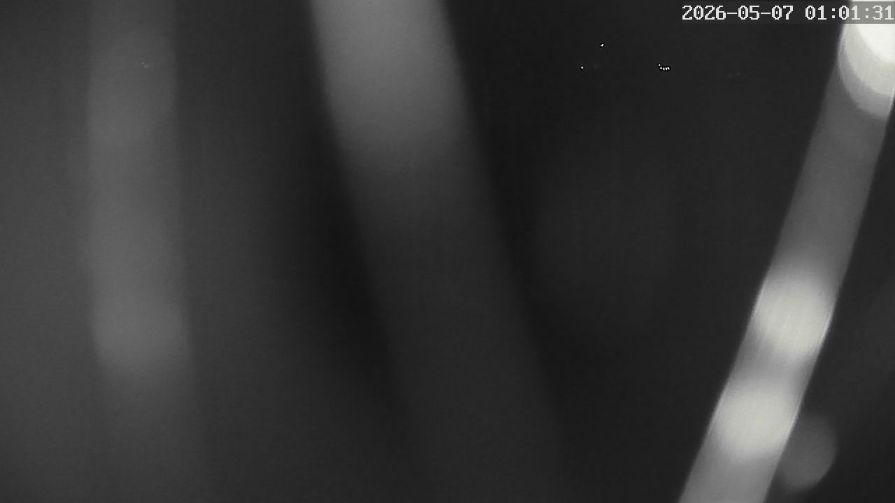 MRSV Bayern Webcam