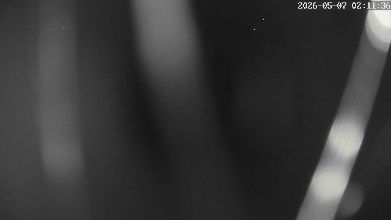 MRSV Bayern Webcam