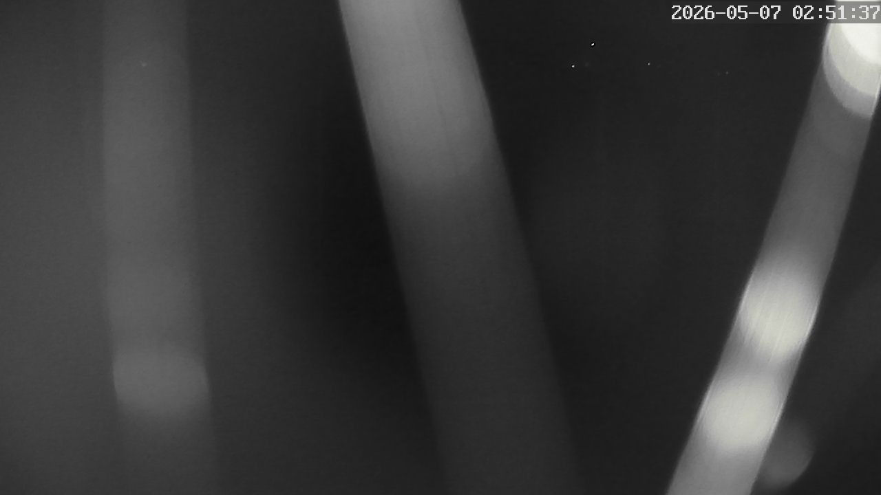 MRSV Bayern Webcam