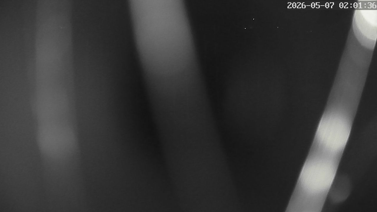 MRSV Bayern Webcam