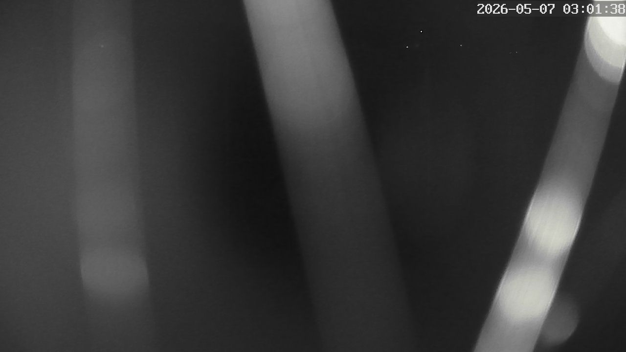 MRSV Bayern Webcam