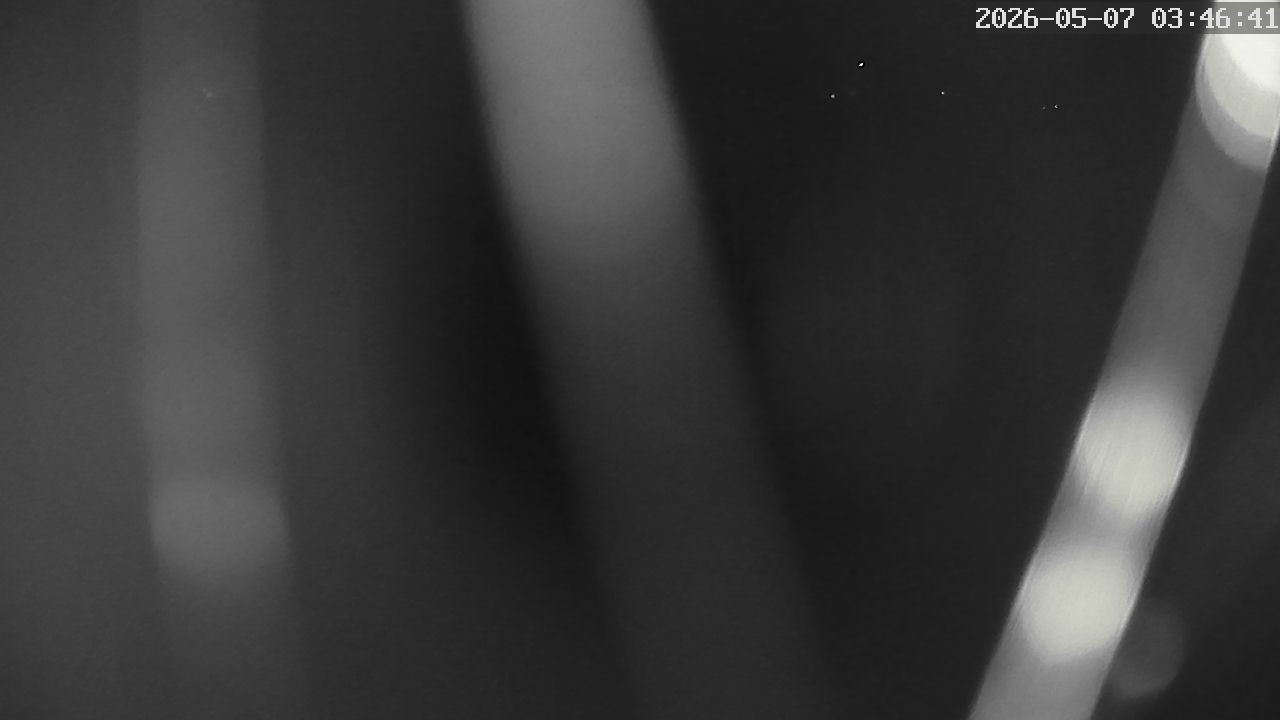 MRSV Bayern Webcam
