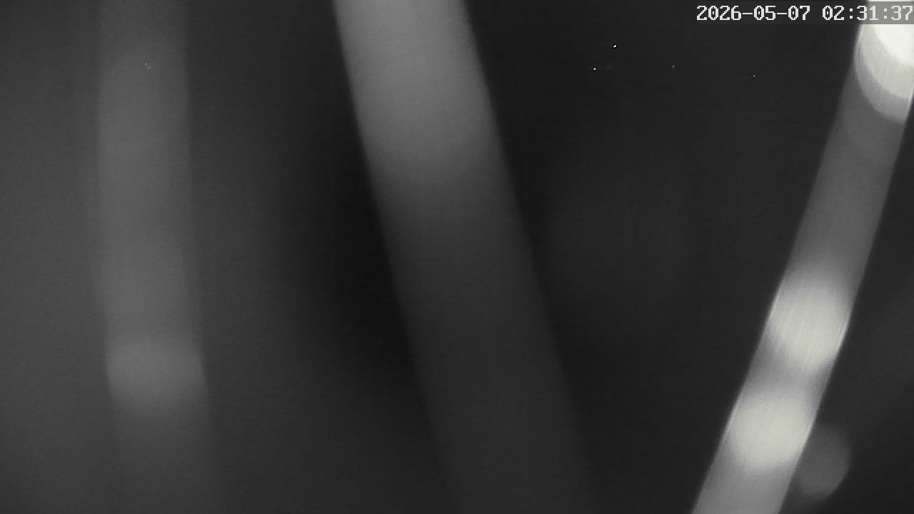 MRSV Bayern Webcam