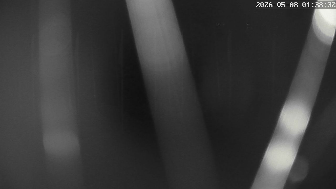 MRSV Bayern Webcam