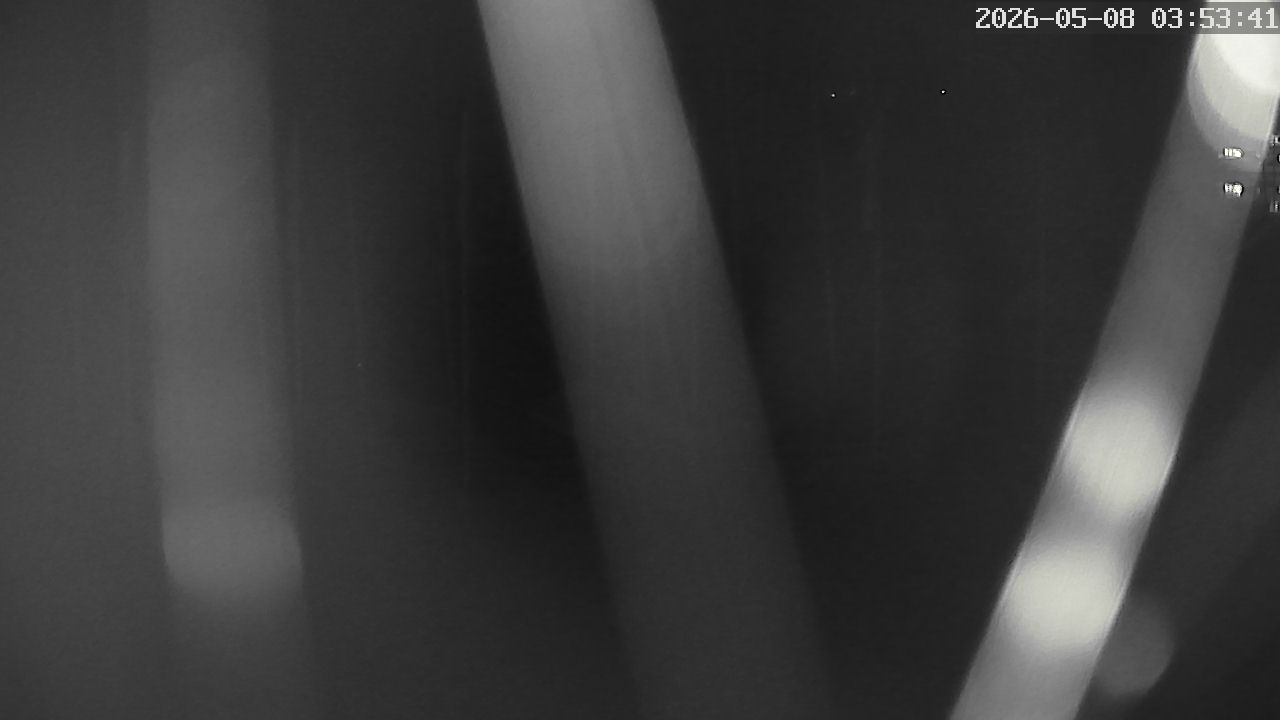 MRSV Bayern Webcam