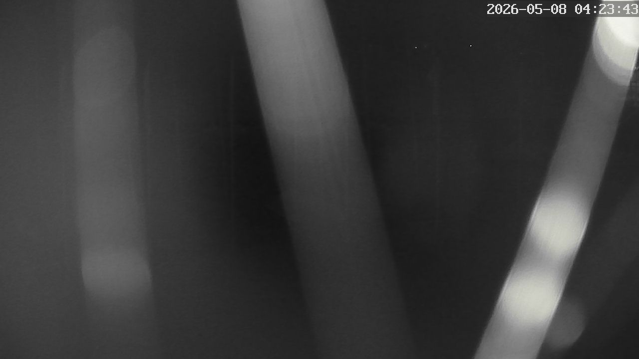 MRSV Bayern Webcam