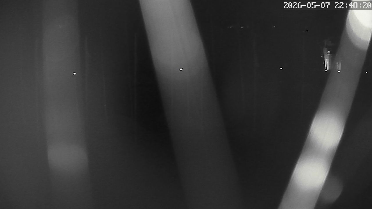 MRSV Bayern Webcam