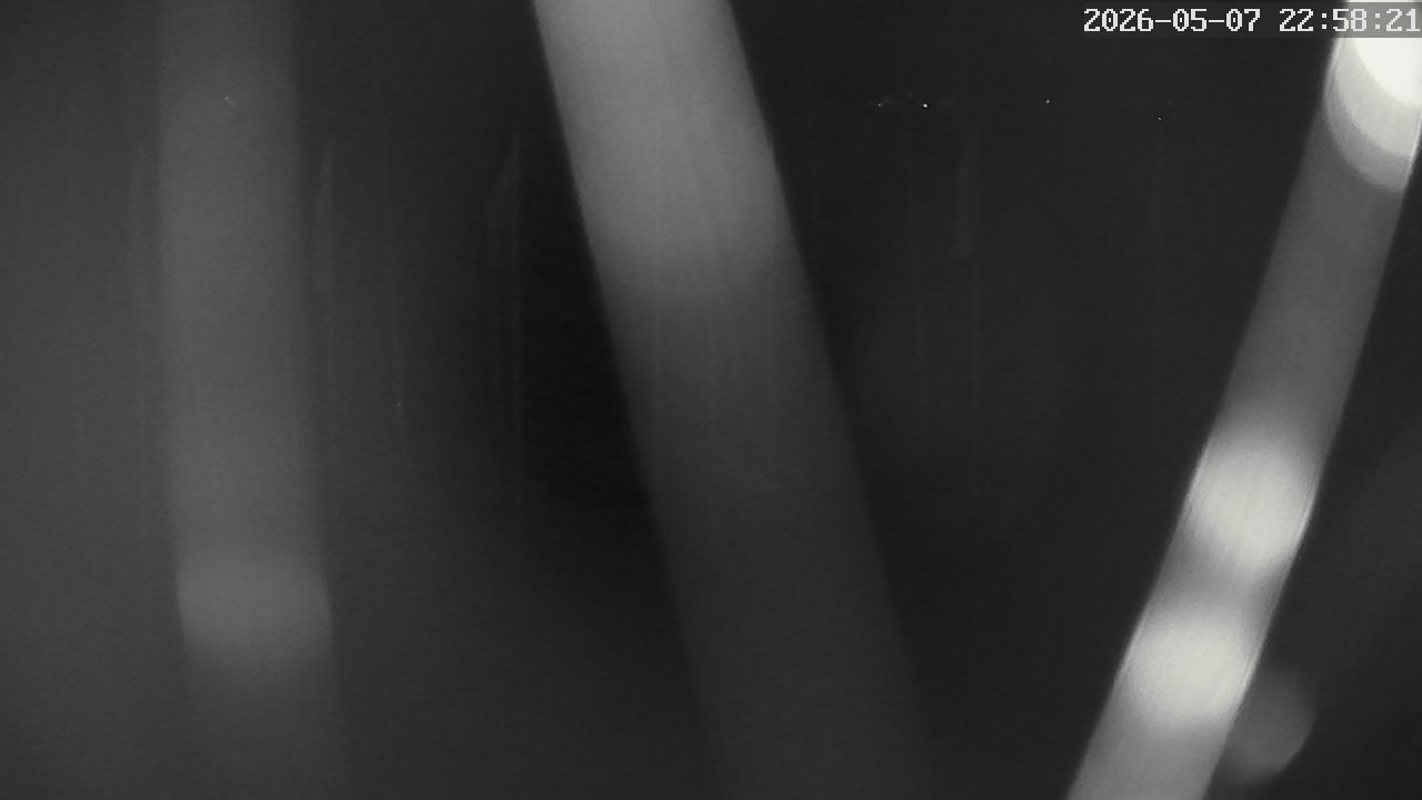 MRSV Bayern Webcam