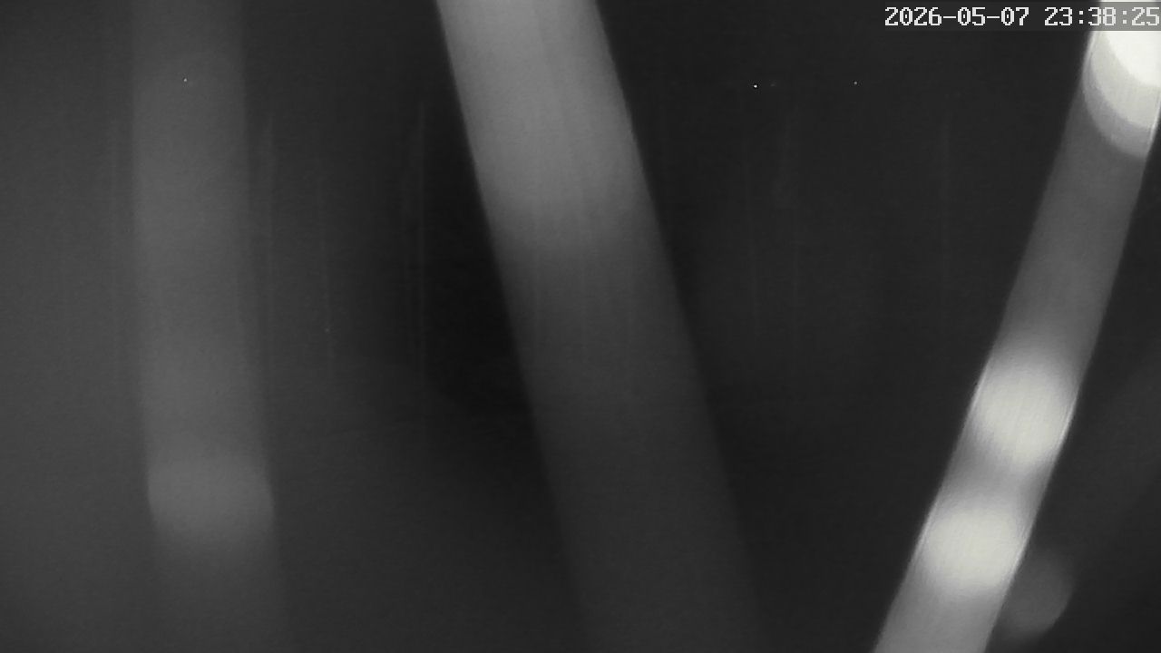 MRSV Bayern Webcam