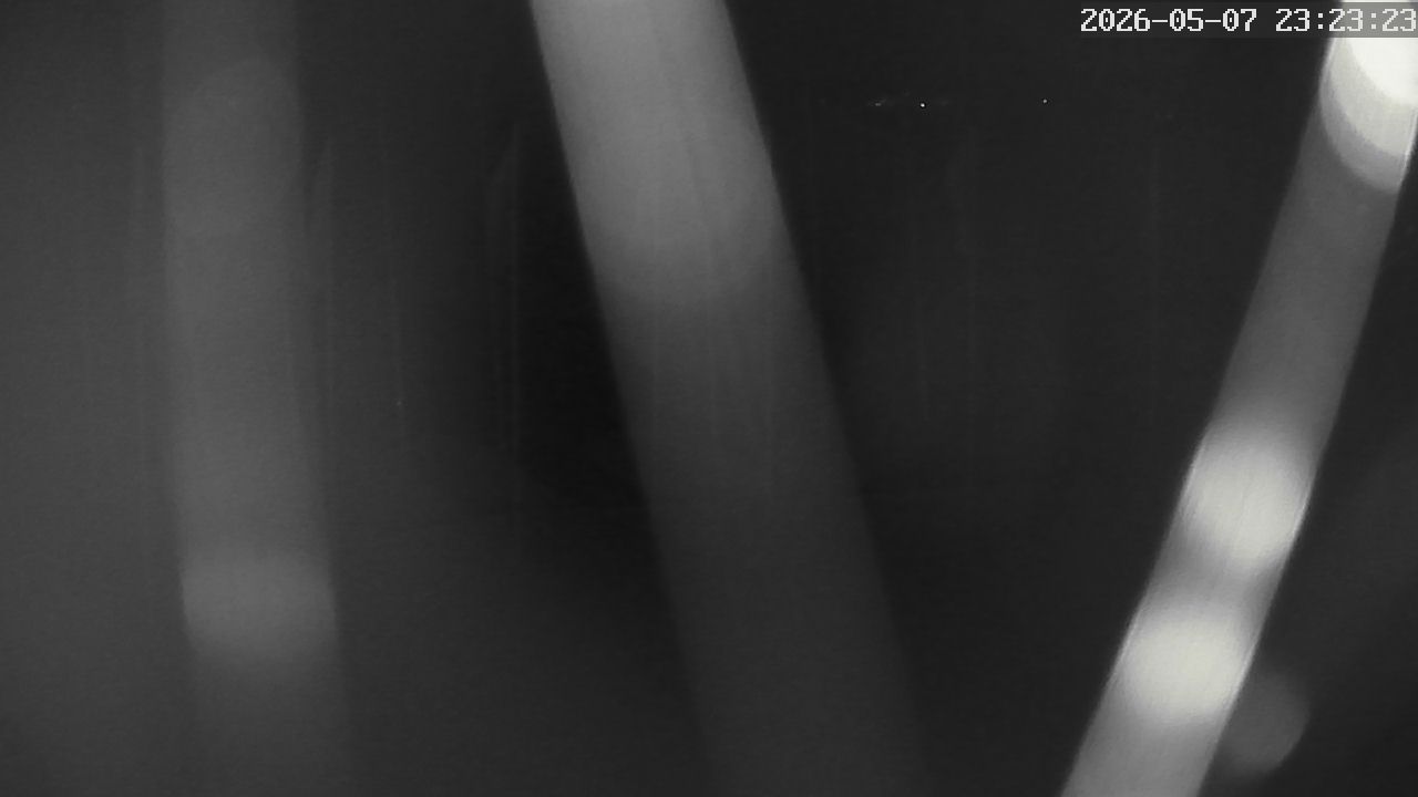 MRSV Bayern Webcam