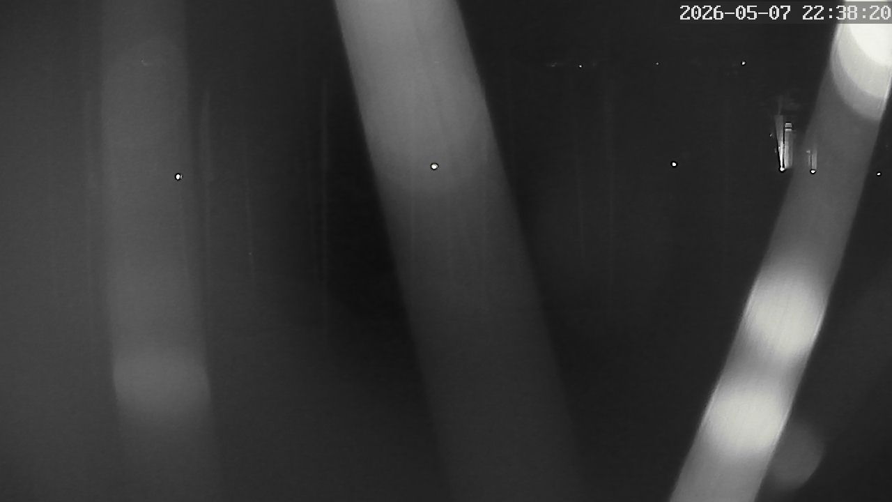 MRSV Bayern Webcam