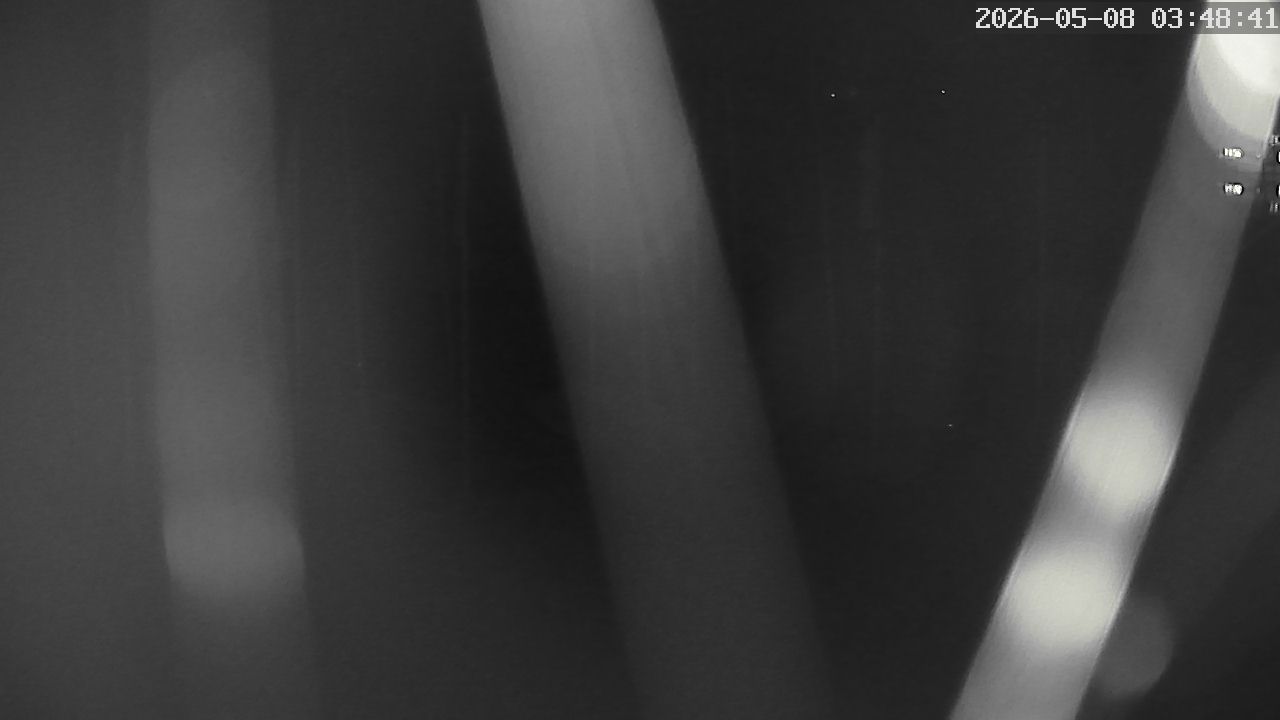 MRSV Bayern Webcam