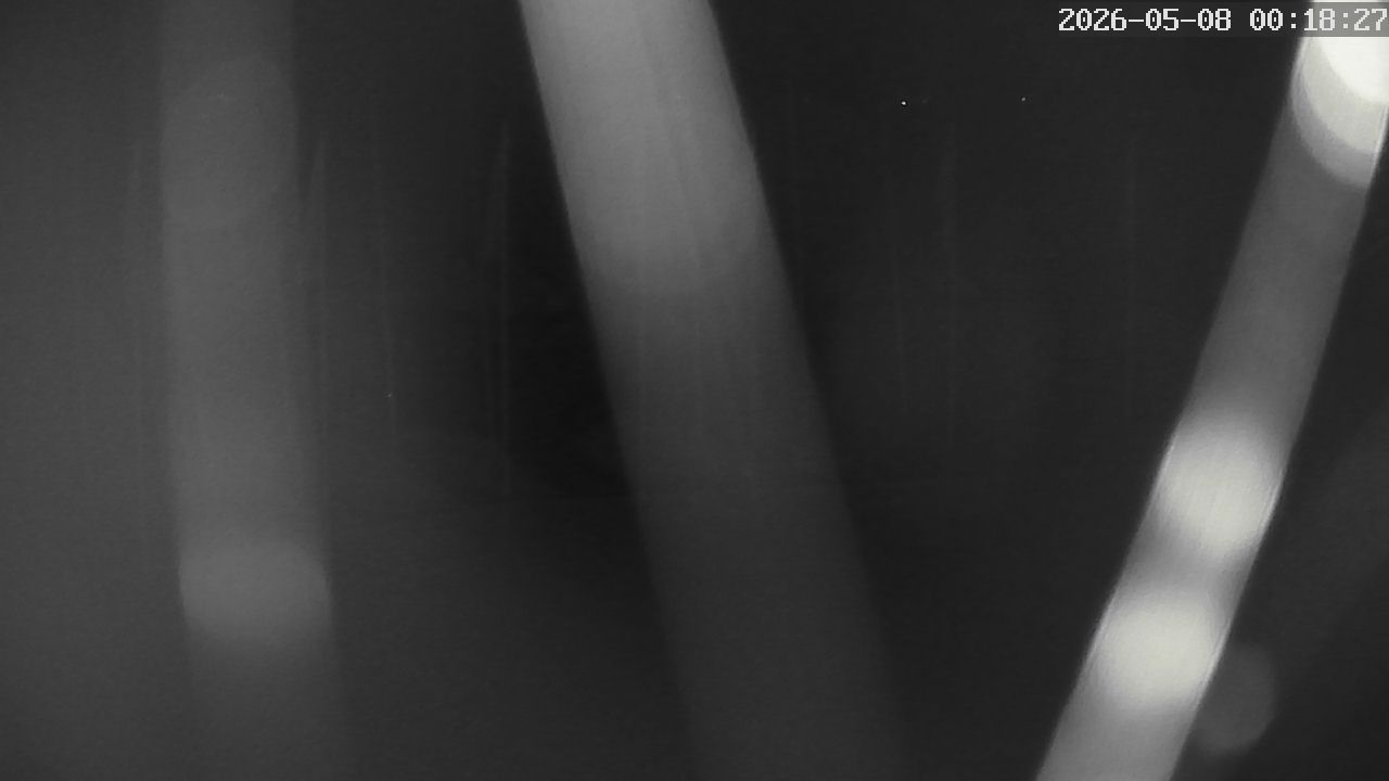 MRSV Bayern Webcam