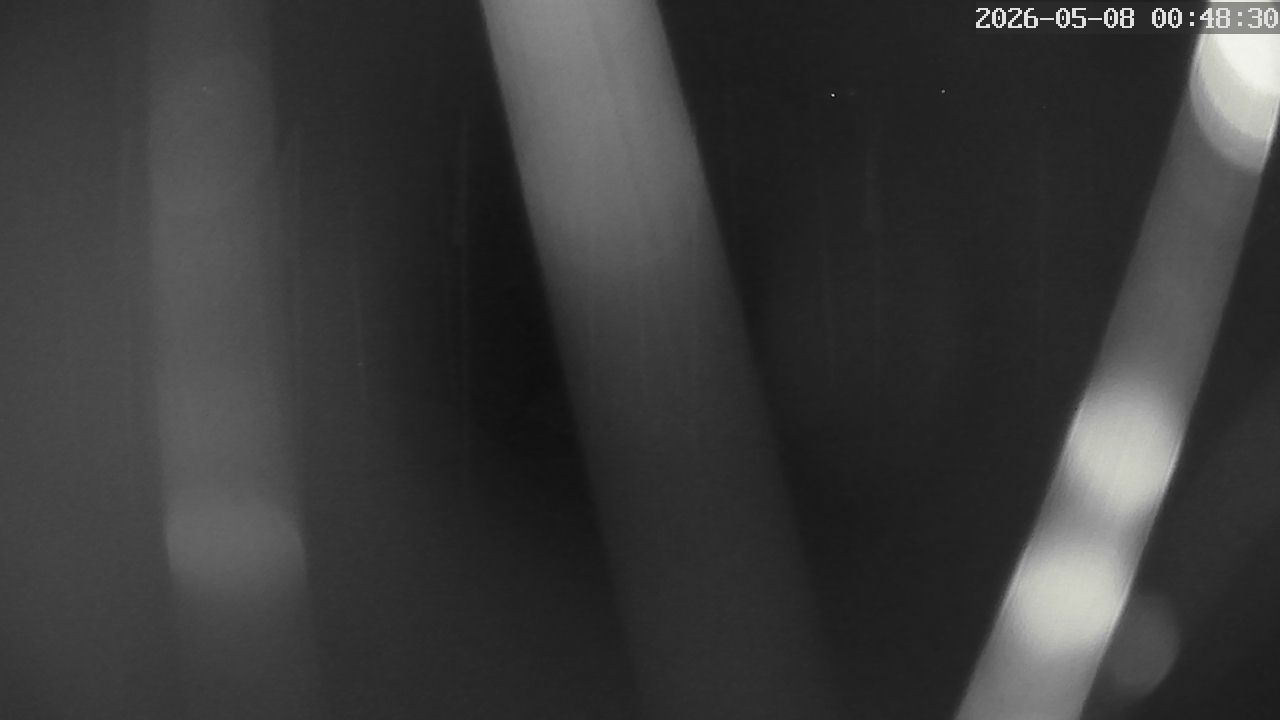 MRSV Bayern Webcam