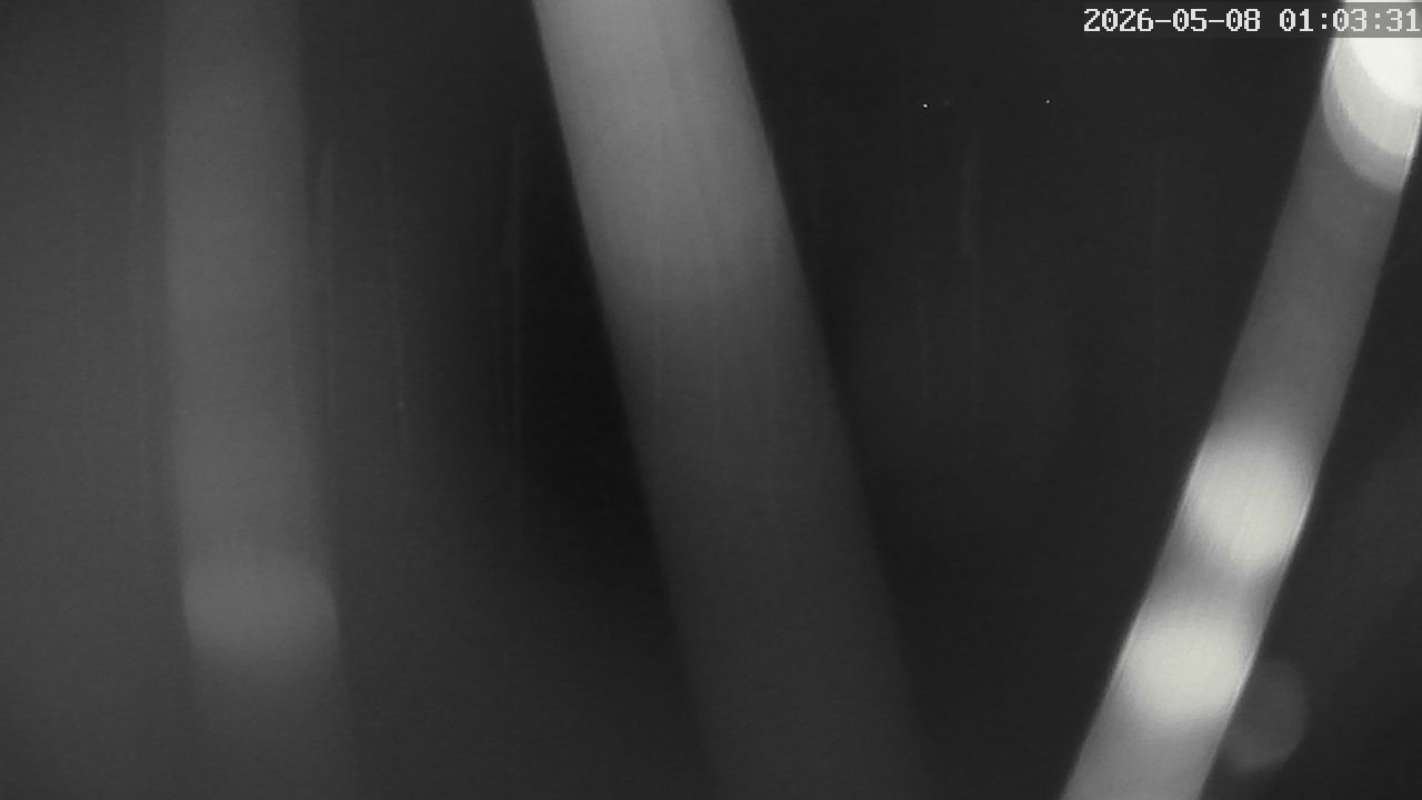 MRSV Bayern Webcam