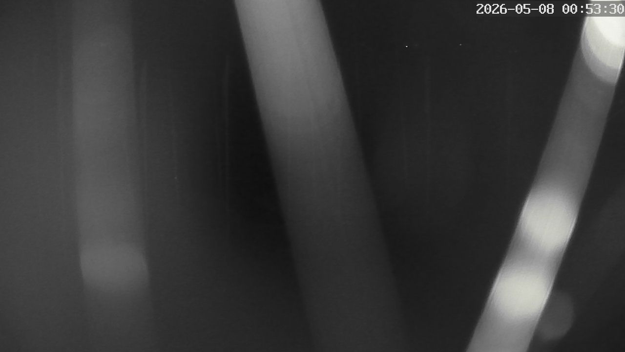 MRSV Bayern Webcam
