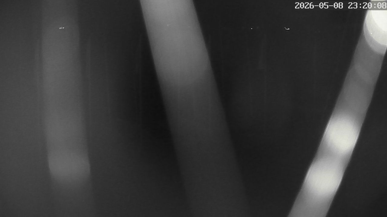 MRSV Bayern Webcam