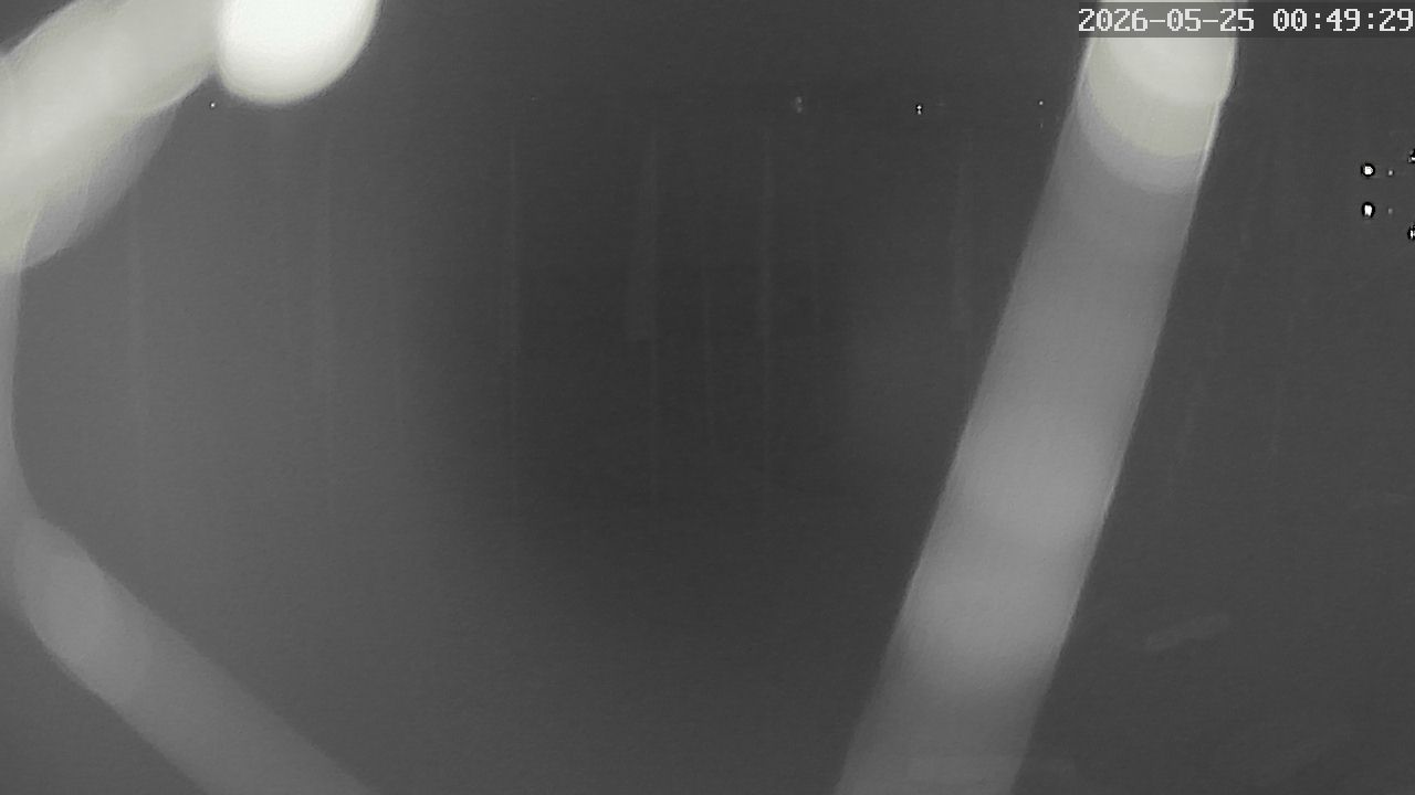 MRSV Bayern Webcam