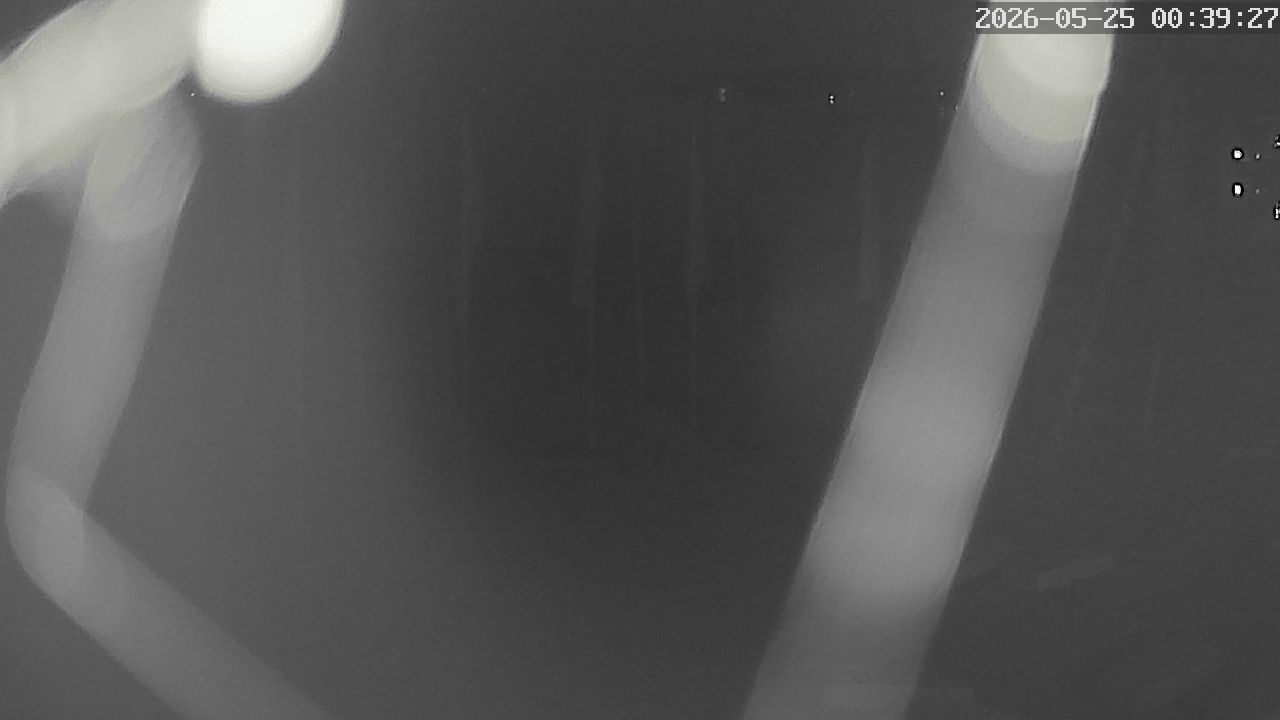 MRSV Bayern Webcam