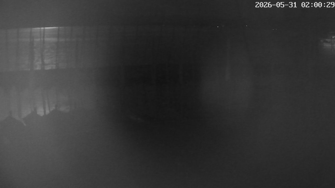 MRSV Bayern Webcam